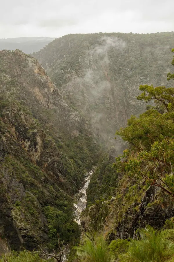 Wollomombi Falls (50)